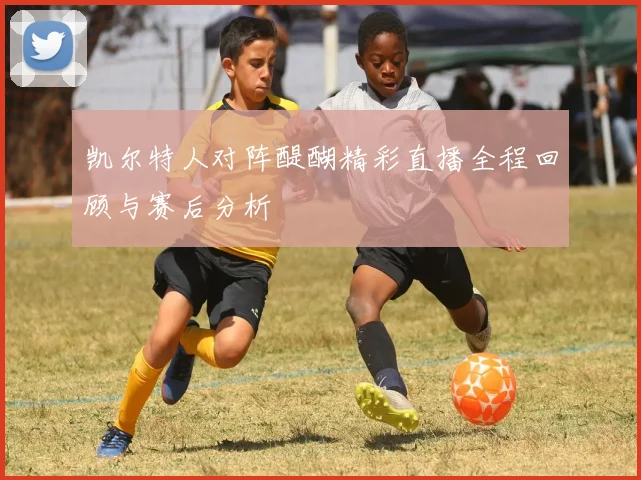 凯尔特人对阵醍醐精彩直播全程回顾与赛后分析