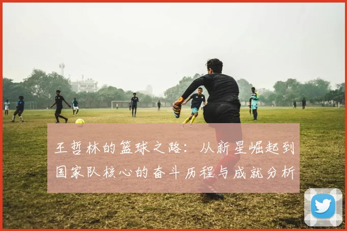 王哲林的篮球之路：从新星崛起到国家队核心的奋斗历程与成就分析