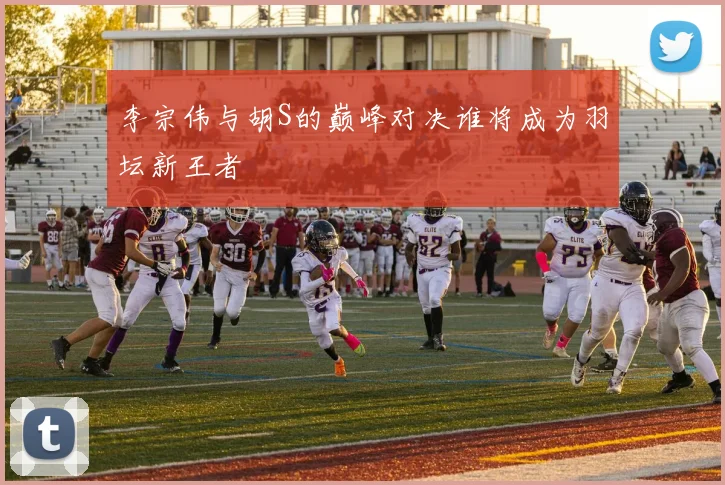 李宗伟与胡S的巅峰对决谁将成为羽坛新王者