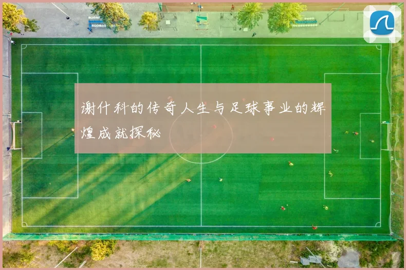 谢什科的传奇人生与足球事业的辉煌成就探秘