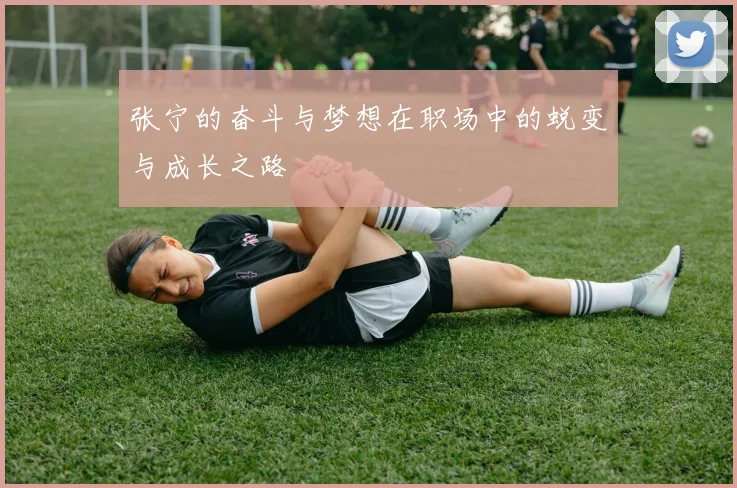 张宁的奋斗与梦想在职场中的蜕变与成长之路