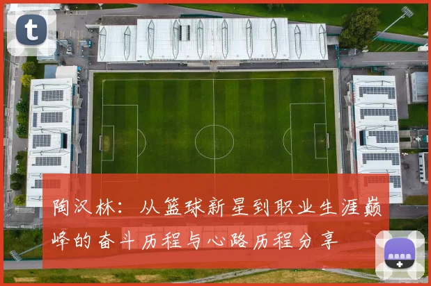 陶汉林：从篮球新星到职业生涯巅峰的奋斗历程与心路历程分享